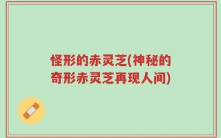 怪形的赤灵芝(神秘的奇形赤灵芝再现人间)