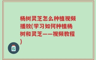 杨树灵芝怎么种植视频播放(学习如何种植杨树和灵芝——视频教程)