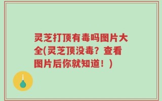 灵芝打顶有毒吗图片大全(灵芝顶没毒？查看图片后你就知道！)