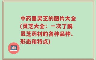 中药里灵芝的图片大全(灵芝大全：一次了解灵芝药材的各种品种、形态和特点)