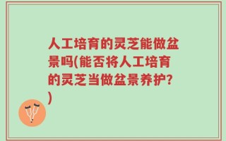 人工培育的灵芝能做盆景吗(能否将人工培育的灵芝当做盆景养护？)