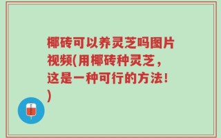 椰砖可以养灵芝吗图片视频(用椰砖种灵芝，这是一种可行的方法！)