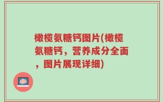 橄榄氨糖钙图片(橄榄氨糖钙，营养成分全面，图片展现详细)
