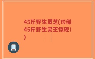 45斤野生灵芝(珍稀45斤野生灵芝惊现！)