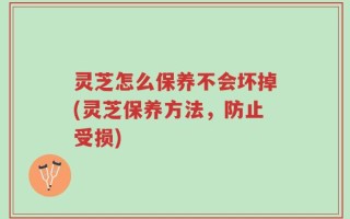 灵芝怎么保养不会坏掉(灵芝保养方法，防止受损)