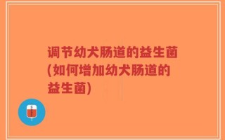 调节幼犬肠道的益生菌(如何增加幼犬肠道的益生菌)