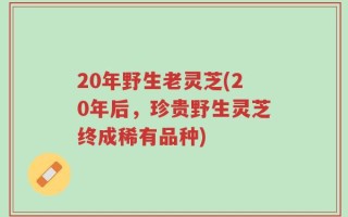 20年野生老灵芝(20年后，珍贵野生灵芝终成稀有品种)