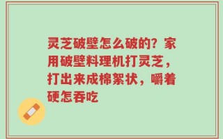 灵芝破壁怎么破的？家用破壁料理机打灵芝，打出来成棉絮状，嚼着硬怎吞吃