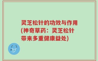 灵芝松针的功效与作用(神奇草药：灵芝松针带来多重健康益处)