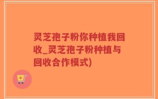 灵芝孢子粉你种植我回收_灵芝孢子粉种植与回收合作模式)
