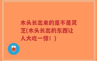 木头长出来的是不是灵芝(木头长出的东西让人大吃一惊！)