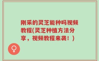刚采的灵芝能种吗视频教程(灵芝种植方法分享，视频教程来袭！)
