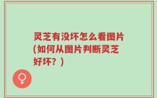 灵芝有没坏怎么看图片(如何从图片判断灵芝好坏？)