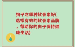 狗子吃哪种软骨素好(选择有效的软骨素品牌，帮助你的狗子保持健康生活)
