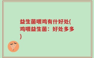 益生菌喂鸡有什好处(鸡喂益生菌：好处多多)