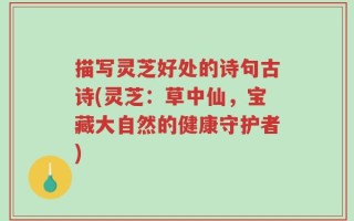 描写灵芝好处的诗句古诗(灵芝：草中仙，宝藏大自然的健康守护者)