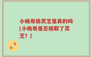 小杨哥摘灵芝是真的吗(小杨哥是否摘取了灵芝？)