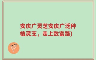 安庆广灵芝安庆广泛种植灵芝，走上致富路)