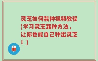 灵芝如何栽种视频教程(学习灵芝栽种方法，让你也能自己种出灵芝！)
