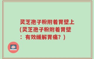 灵芝孢子粉附着胃壁上(灵芝孢子粉附着胃壁：有效缓解胃痛？)