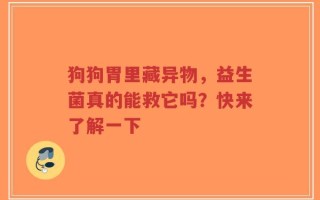 狗狗胃里藏异物，益生菌真的能救它吗？快来了解一下