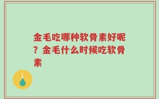 金毛吃哪种软骨素好呢？金毛什么时候吃软骨素