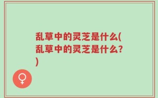 乱草中的灵芝是什么(乱草中的灵芝是什么？)