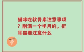 猫咪吃软骨素注意事项？刚满一个半月的，折耳猫要注意什么