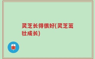 灵芝长得很好(灵芝茁壮成长)