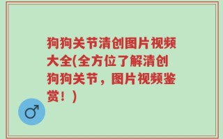 狗狗关节清创图片视频大全(全方位了解清创狗狗关节，图片视频鉴赏！)