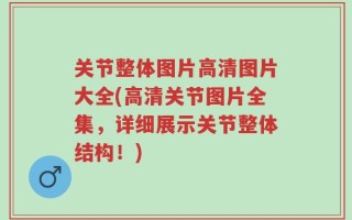 关节整体图片高清图片大全(高清关节图片全集，详细展示关节整体结构！)