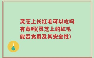灵芝上长红毛可以吃吗有毒吗(灵芝上的红毛能否食用及其安全性)