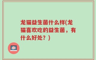 龙猫益生菌什么样(龙猫喜欢吃的益生菌，有什么好处？)