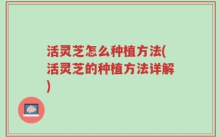活灵芝怎么种植方法(活灵芝的种植方法详解)