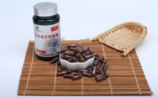 长期喝灵芝孢子粉的好处都有哪些？