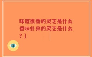 味道很香的灵芝是什么香味扑鼻的灵芝是什么？)