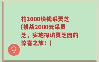 花2000块钱采灵芝(挑战2000元采灵芝，实地探访灵芝园的惊喜之旅！)