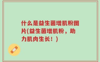 什么是益生菌增肌粉图片(益生菌增肌粉，助力肌肉生长！)