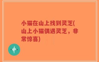 小猫在山上找到灵芝(山上小猫偶遇灵芝，非常惊喜)