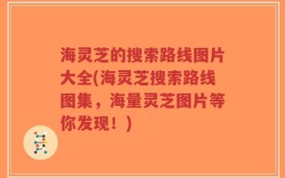 海灵芝的搜索路线图片大全(海灵芝搜索路线图集，海量灵芝图片等你发现！)