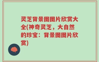 灵芝背景图图片欣赏大全(神奇灵芝，大自然的珍宝：背景图图片欣赏)