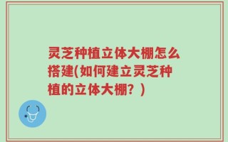 灵芝种植立体大棚怎么搭建(如何建立灵芝种植的立体大棚？)