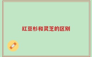 红豆杉和灵芝的区别