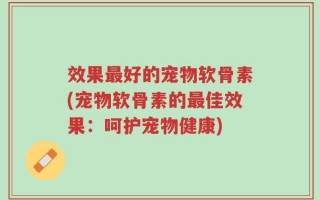 效果最好的宠物软骨素(宠物软骨素的最佳效果：呵护宠物健康)