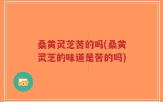 桑黄灵芝苦的吗(桑黄灵芝的味道是苦的吗)