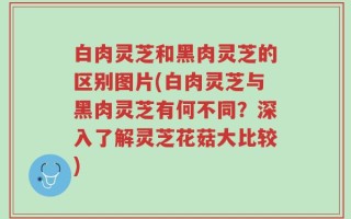 白肉灵芝和黑肉灵芝的区别图片(白肉灵芝与黑肉灵芝有何不同？深入了解灵芝花菇大比较)