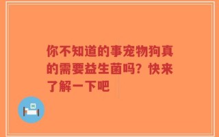 你不知道的事宠物狗真的需要益生菌吗？快来了解一下吧