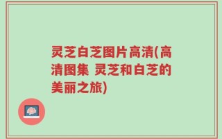 灵芝白芝图片高清(高清图集 灵芝和白芝的美丽之旅)