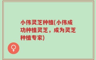 小伟灵芝种植(小伟成功种植灵芝，成为灵芝种植专家)