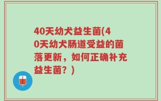 40天幼犬益生菌(40天幼犬肠道受益的菌落更新，如何正确补充益生菌？)